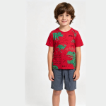 Conjunto Infanto Juvenil