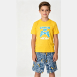 Conjunto Infanto Juvenil