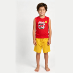 Conjunto Infanto Juvenil